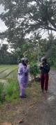 Moto driver tour Borobudur , Rice terace, sacred waterfall