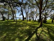 Top Naivasha