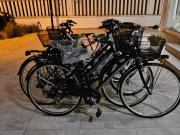 Evergreen B&B Evergreen B&B