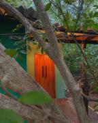 In the Wild by RoamCeylon