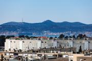 Top Zadar