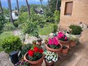 Top Arenas de San Pedro