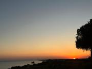Top Porto Palo
