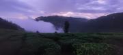 Top Munnar