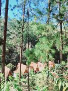 Top Santa Cruz Verapaz