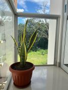 Beautiful Apartment in Tarapoto