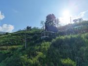 Solitary Green Cabins