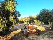 Top Kokkíni Khánion