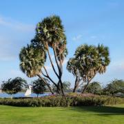 MGM Wellness Retreat