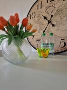 Top Wassertrüdingen