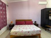 Casa vacanza Ligustro appartamento il gabbiano Casa vacanza Ligustro appartamento il gabbiano