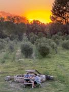 Hotel Boutique Miss Olivos