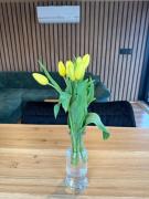 Top Brandýs nad Labem-Stará Boleslav Top Brandýs nad Labem-Stará Boleslav