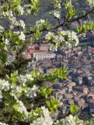 Top Santo Stefano Quisquina