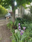 Maison HENRIA Maison HENRIA