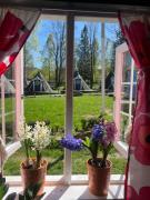 Top Borowice Top Borowice