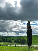 Top Saturnia Top Saturnia