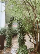 Top Kassel Top Kassel