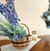 Top San Giovanni Ilarione