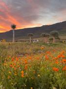 Top Cederberg