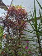 Casa Buzius frente Mar e Canal