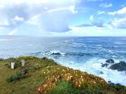 Top Sea Ranch