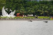Bloom House - Haven park - Ecopark - Hưng Yên Bloom House - Haven park - Ecopark - Hưng Yên