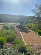 Top Lecci Top Lecci