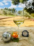 Top Chiaramonte Gulfi