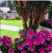 Top Santa Margherita Ligure