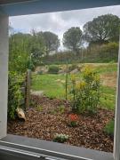 Top Palaja Top Palaja