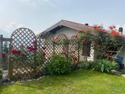 Top Treviso Bresciano