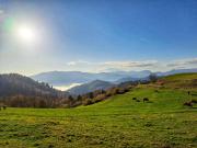 Top Ventron Top Ventron