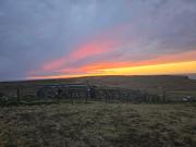 Squealing Pig Bothy Squealing Pig Bothy