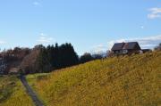 Top Sankt Johann im Saggautal
