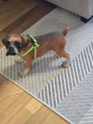 Apartamento Mirador del Pantano2