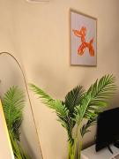 Top Shkodër Top Shkodër