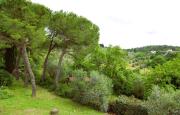 Top Lastra a Signa