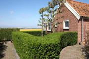 Bungalow Callantsoog