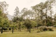 Top Nimbin