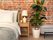 Studio Premium with Air Conditioning for couples in the heart of Krakow, Main Square