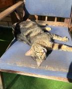 Mini Hostel,Eco Chakvi