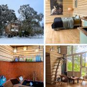 Cabane des deux chênes