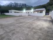Top Monteiro Lobato