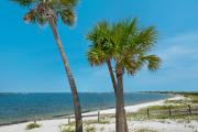Peachy Queen by Gulf Coast Getaways