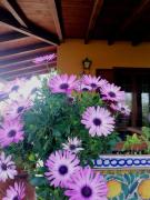 Top Agrigento