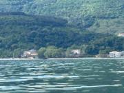 Top Kókkinon Nerón