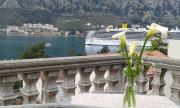 Top Kotor