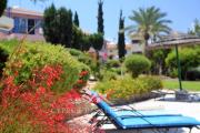 Top Paphos