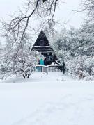 Top Idyllwild